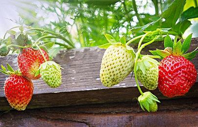 开放世界《云端掠影》今夏正式发售 登陆全平台